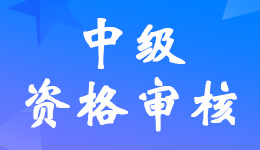 陕西2024年中级会计职称报名资格审核方式系统审核