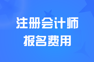 重庆2025注册会计师考试报名费：专业阶段每人每科60元