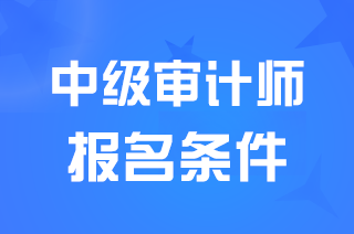 西藏2025中级审计师报名条件是什么？