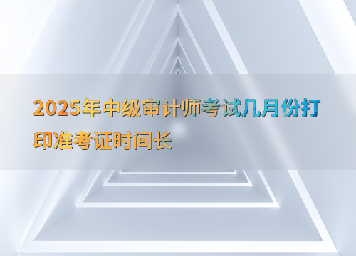 2025 年中级审计师考试