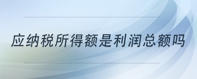 应纳税所得额与利润总额