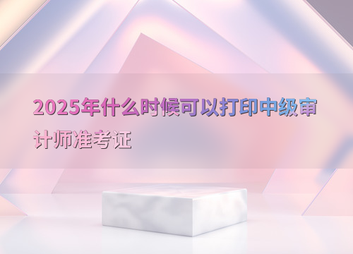 中级审计师考试