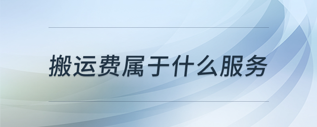 搬运费服务类型说明