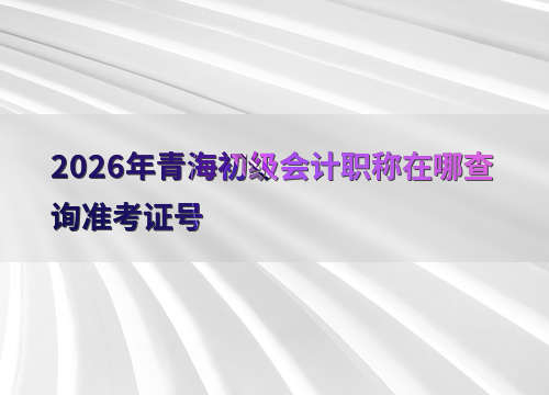 青海初级会计打印流程
