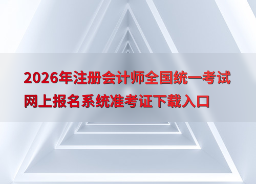 cpa考试指南